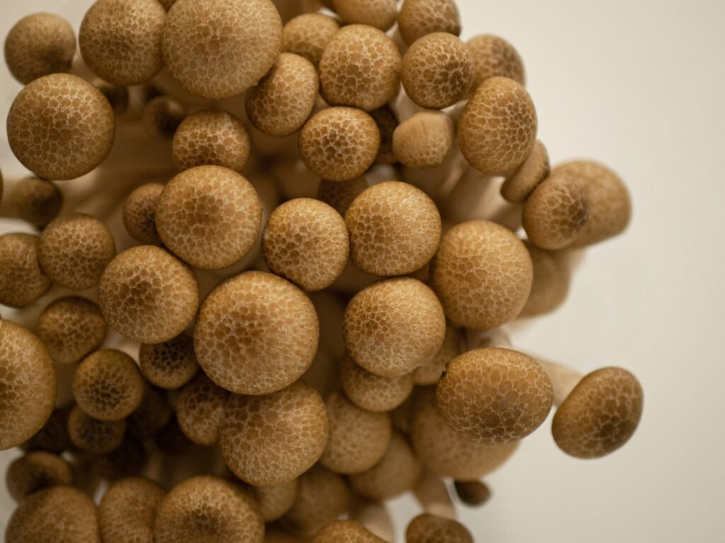 Benefícios do shimeji fresco em cima de uma mesa branca